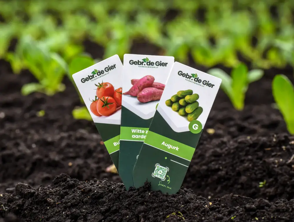 Plantlabels van Gebr. de Gier bij jonge groenteplanten
